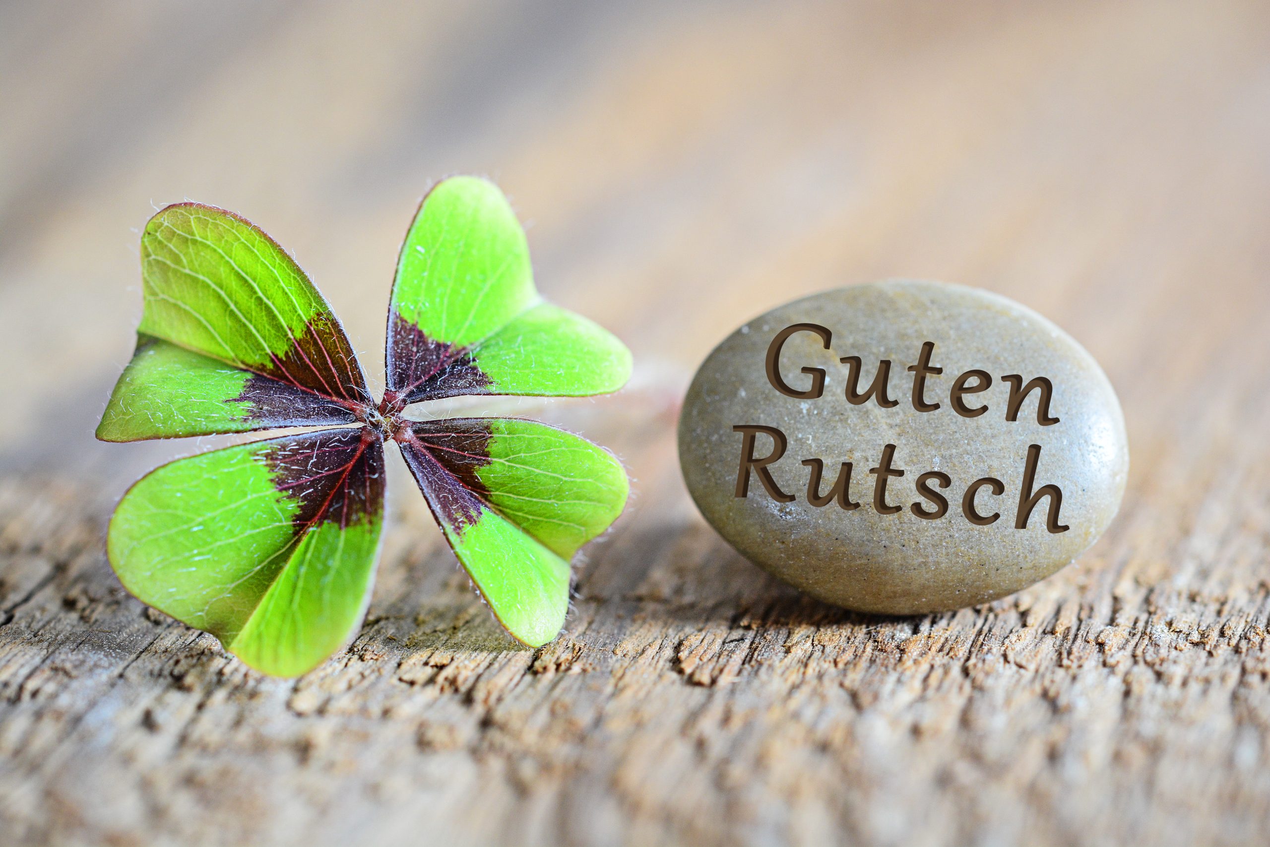 Kommen Sie gut ins Jahr 2026